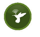 www.brighteyeweb.com